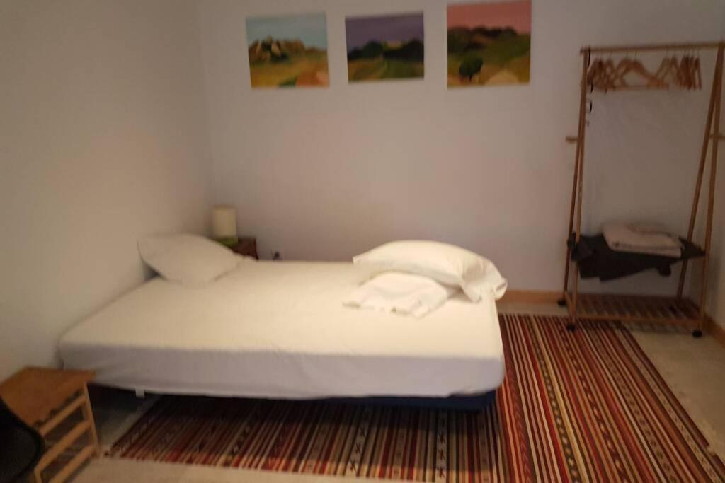 Maison Marijke Garden Studio Céret Dış mekan fotoğraf